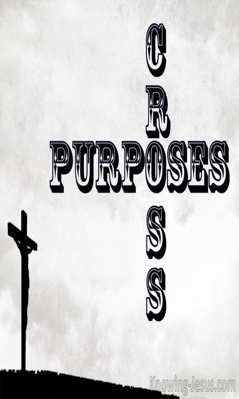 Cross Purposes (devotional)04-02 (gray)